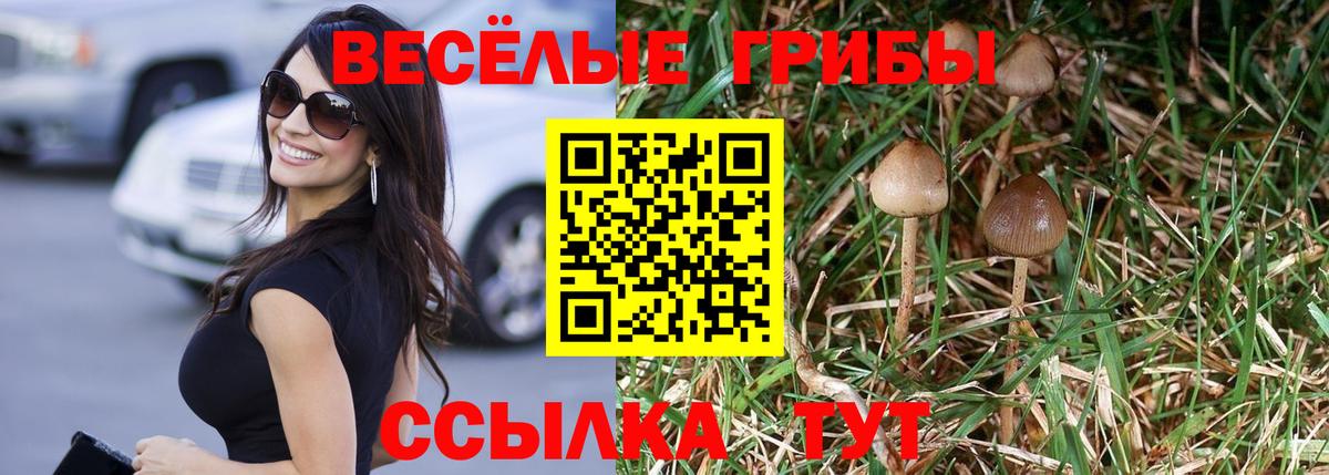 продажа наркотиков  Псилоцибиновые грибы мицелий  Гагарин  Вход с VPN  Галлюциногенные грибы ЛСД 